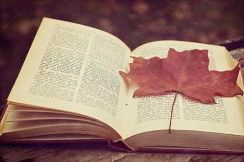 更新的上课视频